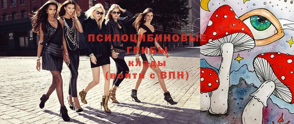 мдпв Армянск