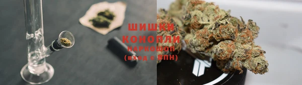 бошки Аркадак