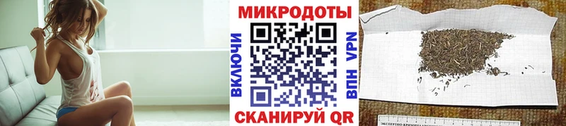 Псилоцибиновые грибы Psilocybe Сальск