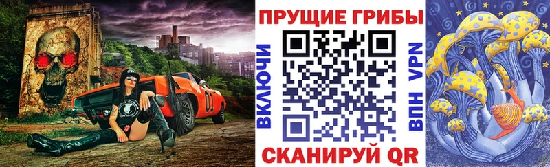 Галлюциногенные грибы MAGIC MUSHROOMS  дарнет шоп  Сальск 